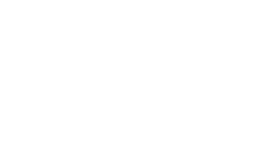 Frontier Litigation